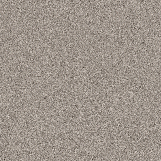Best Yet - 5E745_00110-Carpet