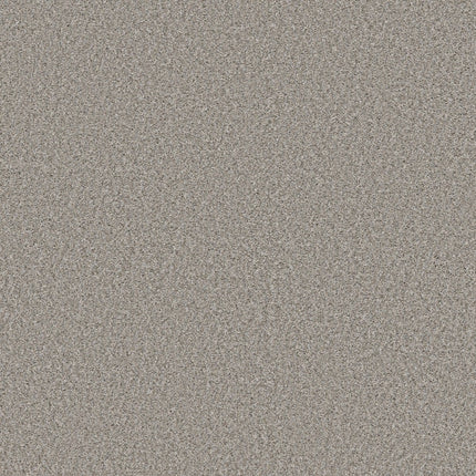 Best Yet - 5E745_00511-Carpet