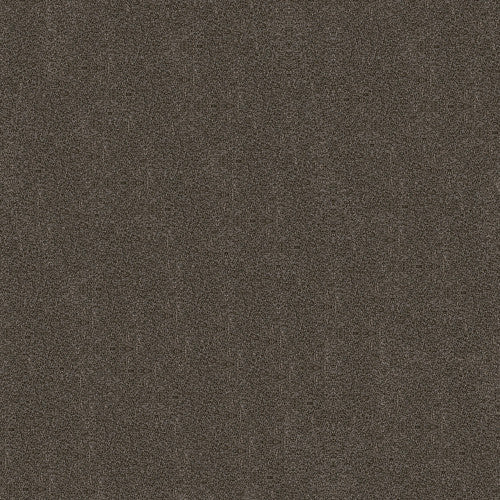 BOUNDLESS I - 5E485 - 00752 - Carpet