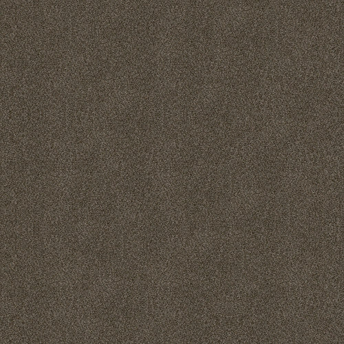 BOUNDLESS I - 5E485 - 00751 - Carpet