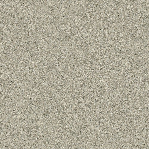 BOUNDLESS I - 5E485 - 00130 - Carpet