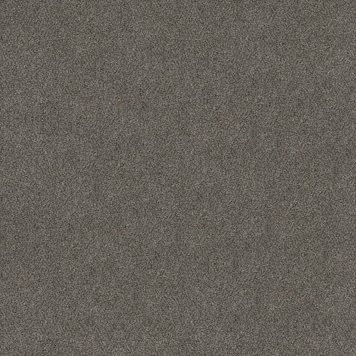 BOUNDLESS I - 5E485 - 00502 - Carpet