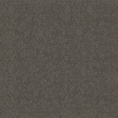 BOUNDLESS I - 5E485 - 00703 - Carpet