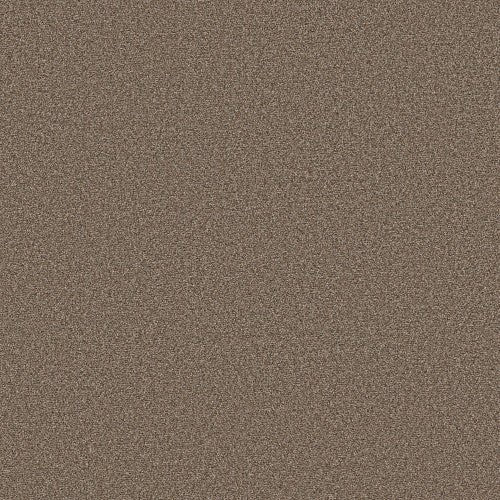 BOUNDLESS I - 5E485 - 00103 - Carpet