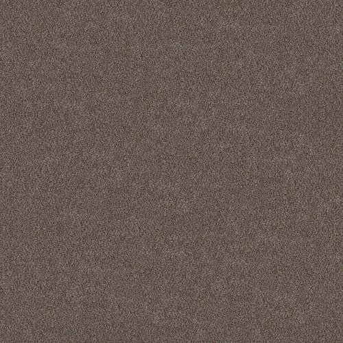 BOUNDLESS I - 5E485 - 00701 - Carpet