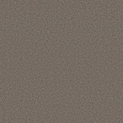 BOUNDLESS III - 5E487 - 00157 - Carpet