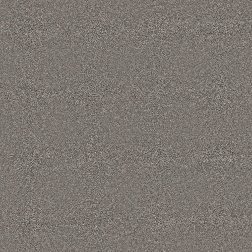 BOUNDLESS III - 5E487 - 00501 - Carpet