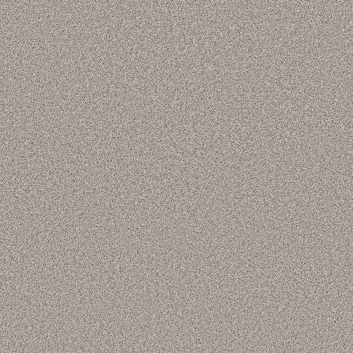 BOUNDLESS III - 5E487 - 00100 - Carpet