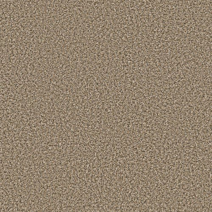 BREAK AWAY (B) - 5E242 - 00110 - Carpet