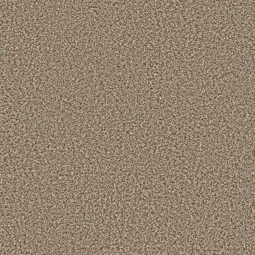 BREAK AWAY (B) - 5E242 - 00110 - Carpet