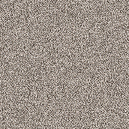 BREAK AWAY (B) - 5E242 - 00130 - Carpet