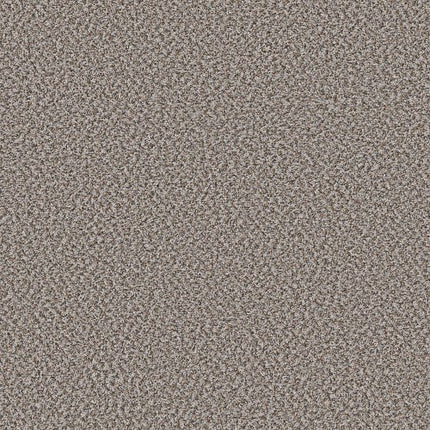 BREAK AWAY (B) - 5E242 - 00530 - Carpet