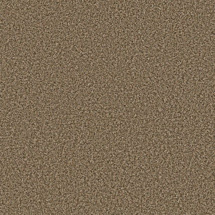 BREAK AWAY (B) - 5E242 - 00711 - Carpet