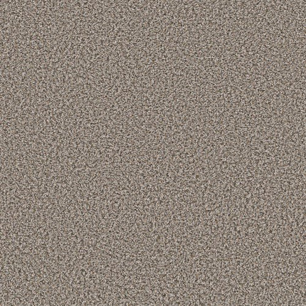 BREAK AWAY (B) - 5E242 - 00500 - Carpet