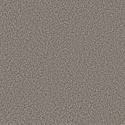 BREAK AWAY (B) - 5E242 - 00531 - Carpet
