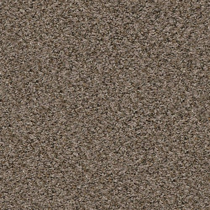 BREAK AWAY (B) - 5E242 - 00710 - Carpet