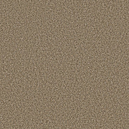 BREAK AWAY (B) - 5E242 - 00113 - Carpet