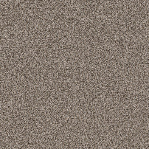 BREAK AWAY (B) - 5E242 - 00132 - Carpet