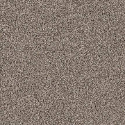 BREAK AWAY (B) - 5E242 - 00532 - Carpet