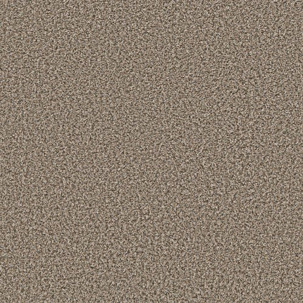 BREAK AWAY (B) - 5E242 - 00730 - Carpet