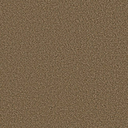 BREAK AWAY (B) - 5E242 - 00211 - Carpet
