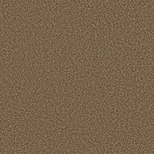 BREAK AWAY (B) - 5E242 - 00211 - Carpet