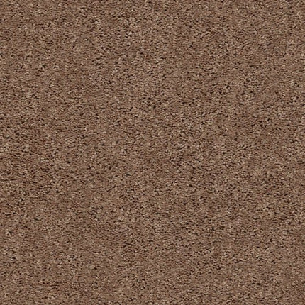BREAK AWAY (S) - 5E243 - 00701 - Carpet