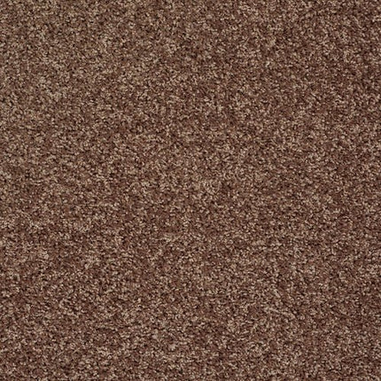 BREAK AWAY (S) - 5E243 - 00704 - Carpet