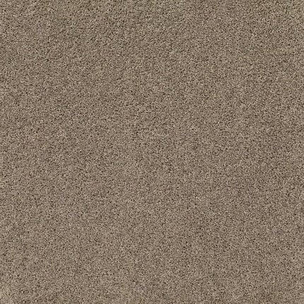 BREAK AWAY (S) - 5E243 - 00700 - Carpet