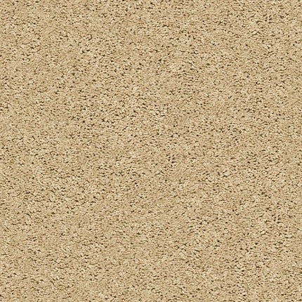 BREAK AWAY (S) - 5E243 - 00102 - Carpet