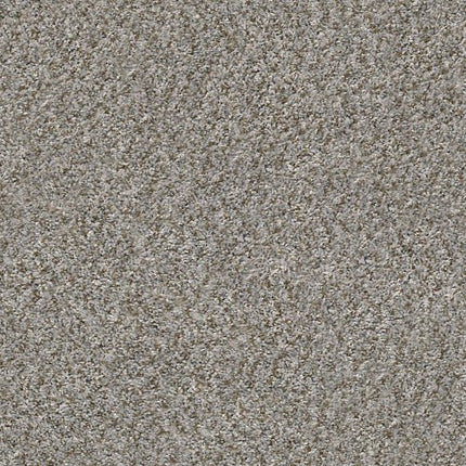 CABANA BAY (B) - E9956 - 00551 - Carpet