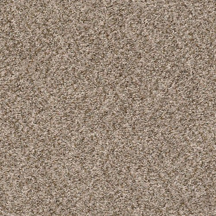 CABANA BAY (B) - E9956 - 00152 - Carpet