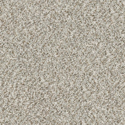 CABANA BAY (B) - E9956 - 00151 - Carpet