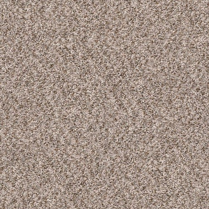 CABANA BAY (B) - E9956 - 00251 - Carpet