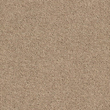 CABANA BAY SOLID - E9954 - 00107 - Carpet
