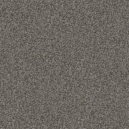 CABANA BAY TONAL - E9955 - 00531 - Carpet