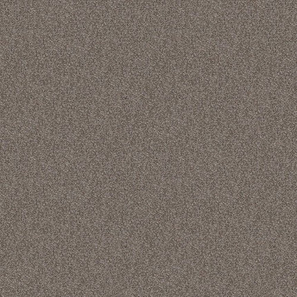 CABANA BAY TONAL - E9955 - 00745 - Carpet