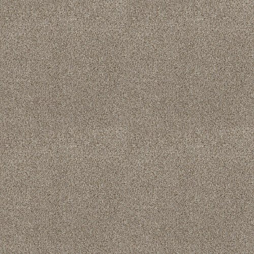 CABANA LIFE (B) - E9959 - 00250 - Carpet