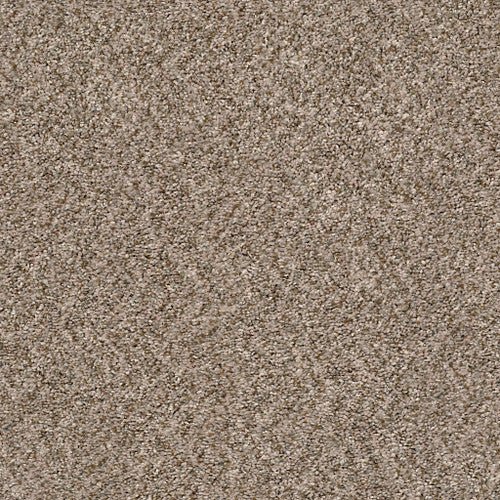 CABANA LIFE (B) - E9959 - 00152 - Carpet