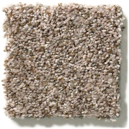 CABANA LIFE (B) - E9959 - 00152 - Carpet