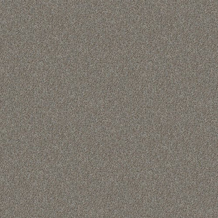 CABANA LIFE (B) - E9959 - 00555 - Carpet