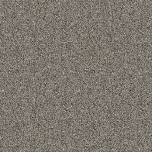 CABANA LIFE (B) - E9959 - 00555 - Carpet