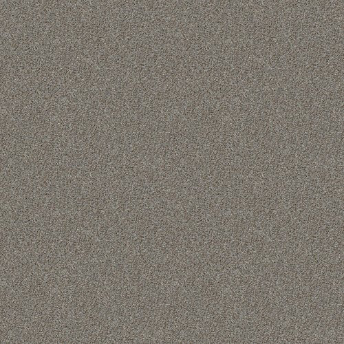 CABANA LIFE (B) - E9959 - 00555 - Carpet