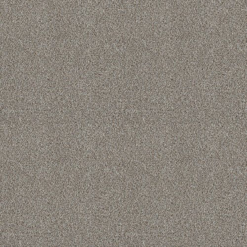 CABANA LIFE (B) - E9959 - 00550 - Carpet