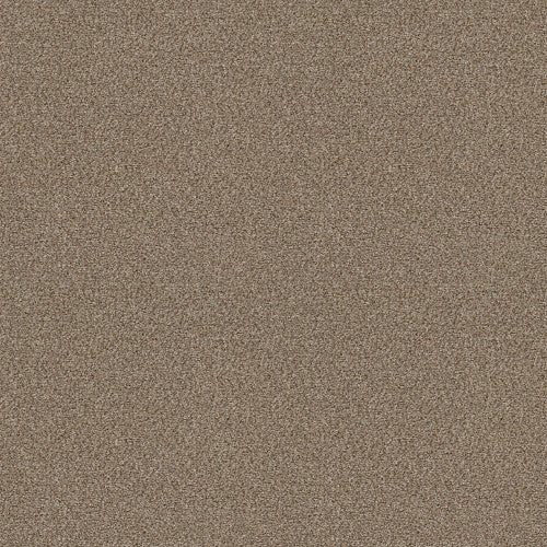 CABANA LIFE (B) - E9959 - 00251 - Carpet