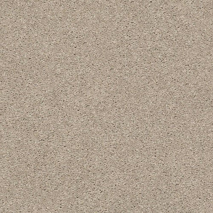 CABANA LIFE SOLID - E9957 - 00105 - Carpet