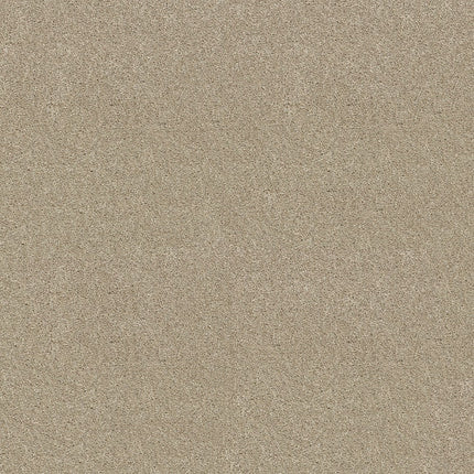 CABANA LIFE SOLID - E9957 - 00122 - Carpet