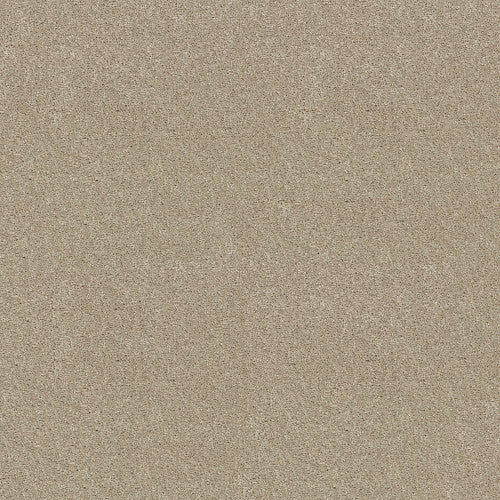 CABANA LIFE SOLID - E9957 - 00122 - Carpet