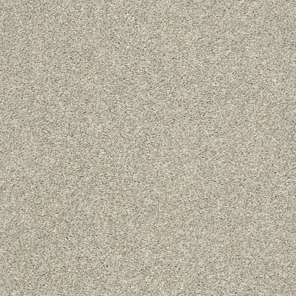 CABANA LIFE (T) - E9958 - 00530 - Carpet