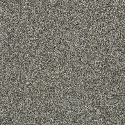 CABANA LIFE (T) - E9958 - 00745 - Carpet